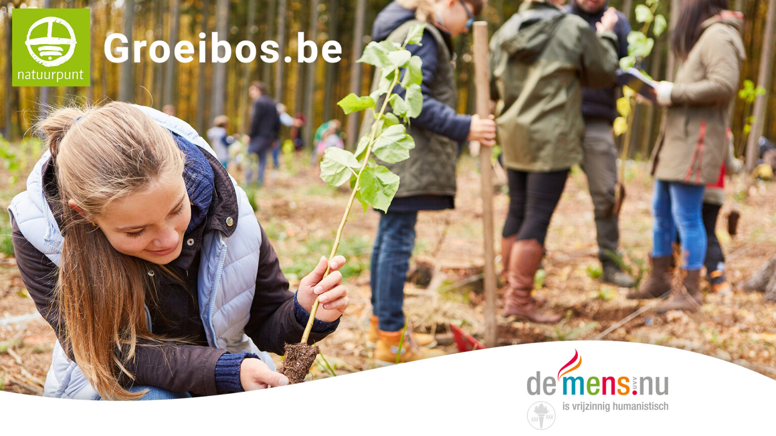 Groeibos visual website2 1536x864